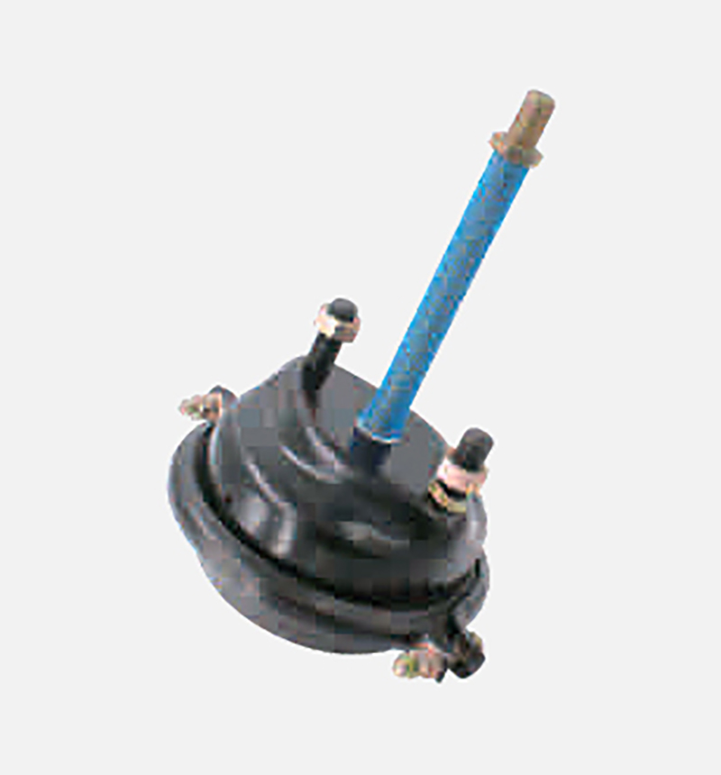 T20-Produk